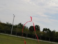 DSC 1176