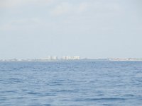 DSC 1401