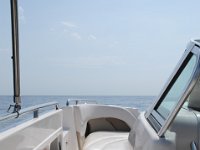 DSC 1409