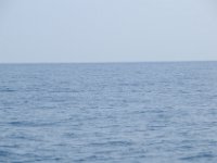 DSC 1412