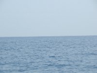 DSC 1413