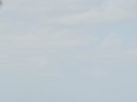 DSC 1418