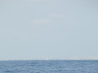 DSC 1419