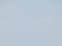 DSC 1420