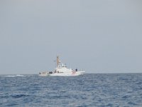 DSC 1431