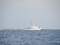 DSC 1433