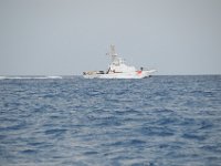DSC 1434