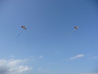 P1010197