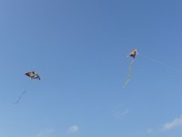 P1010198