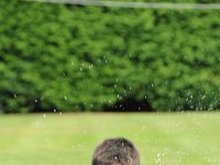 DSC 2303 : Sam Chown
