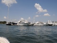 DSC 1135
