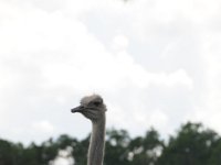 DSC 3441