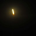 DSC 5415
