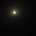 DSC 5421