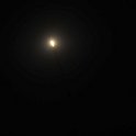 DSC 5425