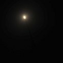 DSC 5427