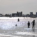 DSC 5317