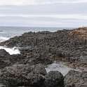 DSC 6635