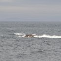 DSC 6651
