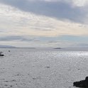 DSC 6653