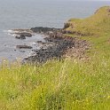 DSC 6661
