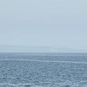 DSC 6730