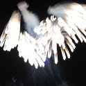 DSC 4908
