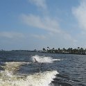 IMG 0177