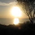 IMG 0234