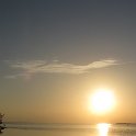 IMG 0235