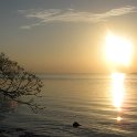 IMG 0237