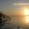 IMG 0239