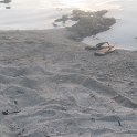 IMG 0244