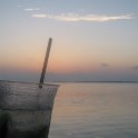 IMG 0250