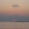 IMG 0251