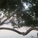 IMG 0252