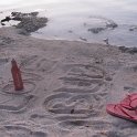 IMG 0262