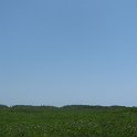 IMG 0267