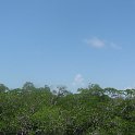 IMG 0268