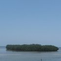 IMG 0270