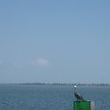 IMG 0272