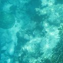 IMG 0281