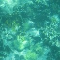 IMG 0284