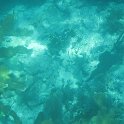 IMG 0285