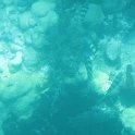 IMG 0286