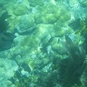IMG 0289
