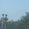 IMG 0335