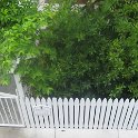 IMG 0351