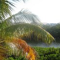 IMG 0354