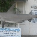 IMG 0381